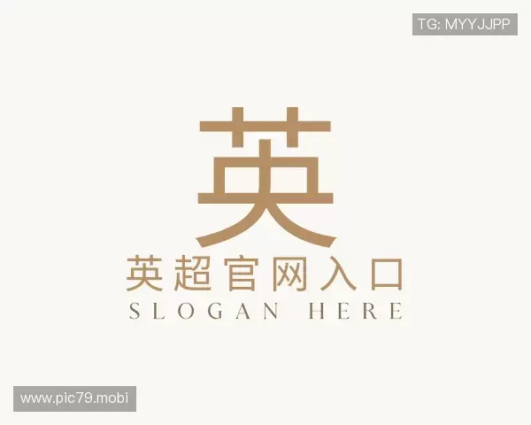 关于英超官网入口